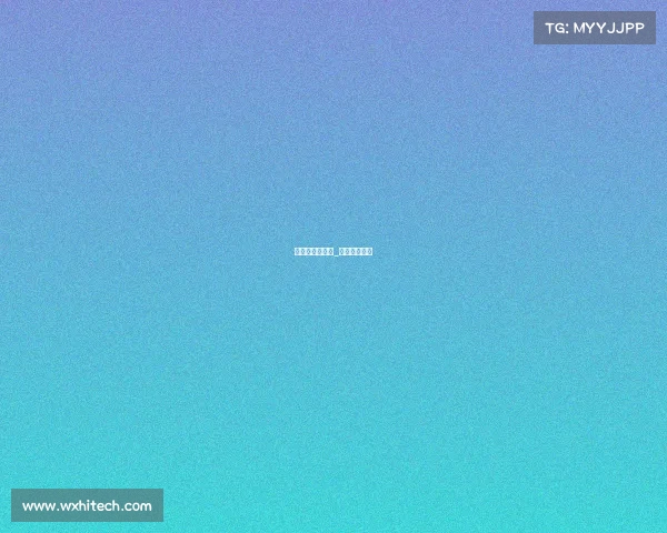 最终赛事时间表_最终联赛电影